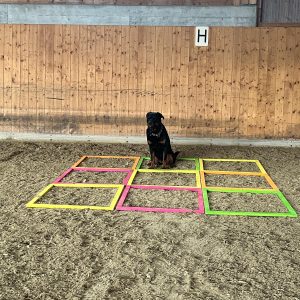 WhatsApp Bild 2025-06-03 um 22.37.15_f3b480ef