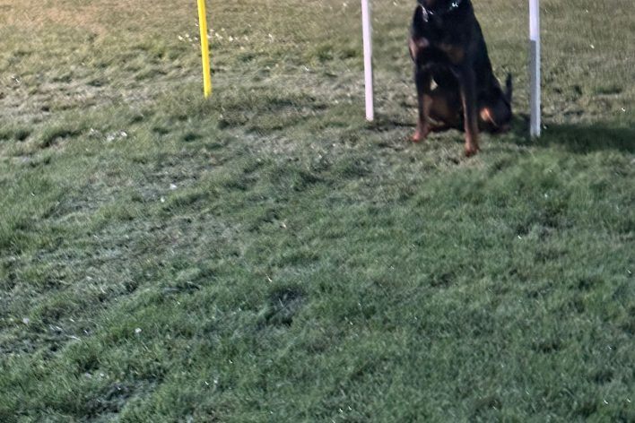 WhatsApp Bild 2025-11-19 um 20.54.44_061c20d7