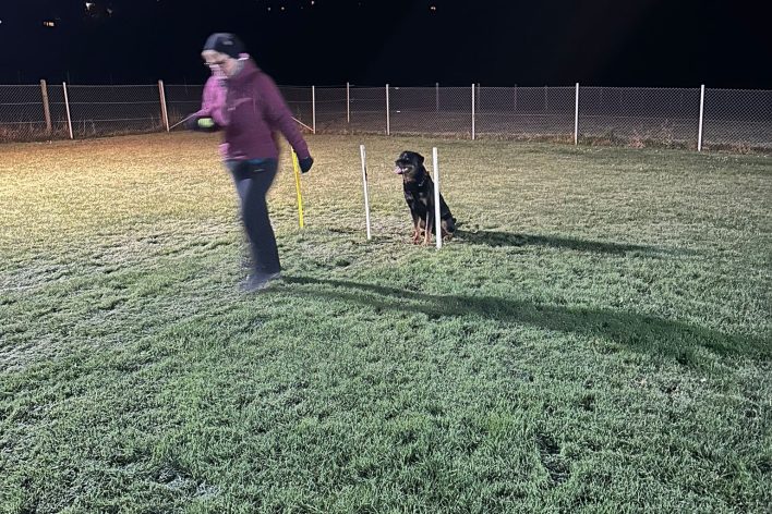 WhatsApp Bild 2025-11-19 um 20.54.44_1fd8995f