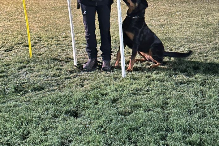 WhatsApp Bild 2025-11-19 um 20.54.44_c24fd9a1