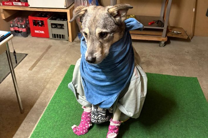 WhatsApp Bild 2025-11-19 um 21.03.20_e0178a17