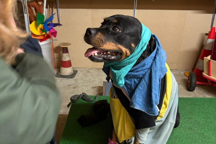 WhatsApp Bild 2025-11-19 um 21.03.38_f1438d6e