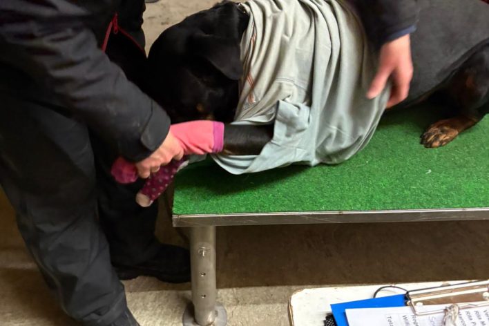 WhatsApp Bild 2025-11-19 um 21.03.57_c3577796