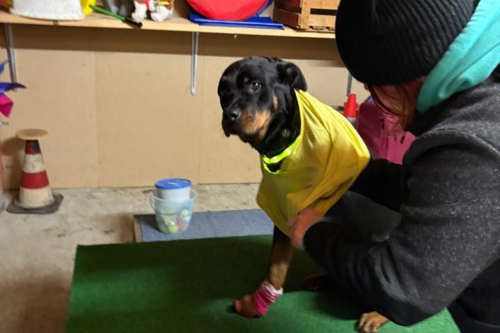 WhatsApp Bild 2025-11-19 um 21.04.22_288368c1